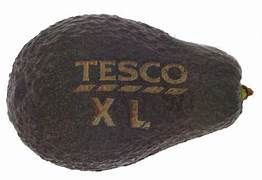 Tesco trials laser-etched labels on its XL avocados